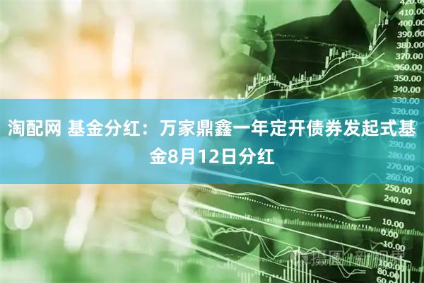 淘配网 基金分红:万家鼎鑫一年定开债券发起式基金8月12日分红