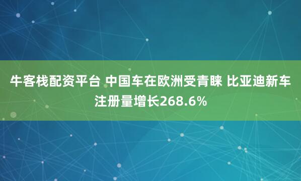 牛客栈配资平台 中国车在欧洲受青睐 比亚迪新车注册量增长268.6%