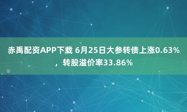 赤禹配资APP下载 6月25日大参转债上涨0.63%，转股溢价率33.86%