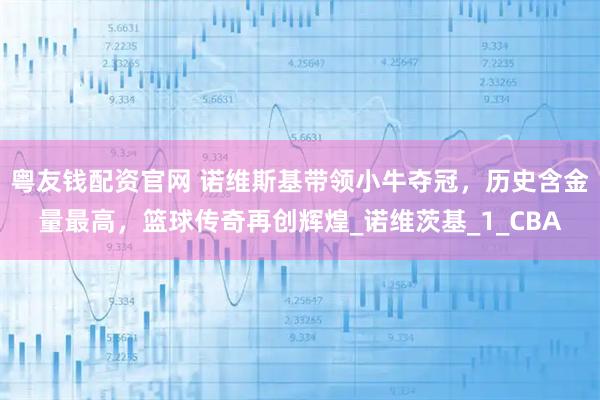 粤友钱配资官网 诺维斯基带领小牛夺冠，历史含金量最高，篮球传奇再创辉煌_诺维茨基_1_CBA