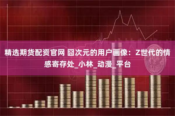 精选期货配资官网 囧次元的用户画像：Z世代的情感寄存处_小林_动漫_平台