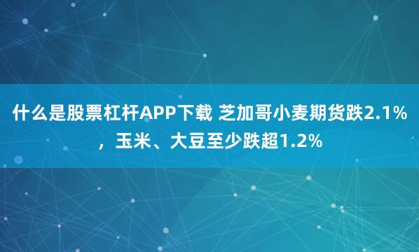 什么是股票杠杆APP下载 芝加哥小麦期货跌2.1%，玉米、大豆至少跌超1.2%